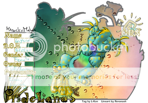 User Image